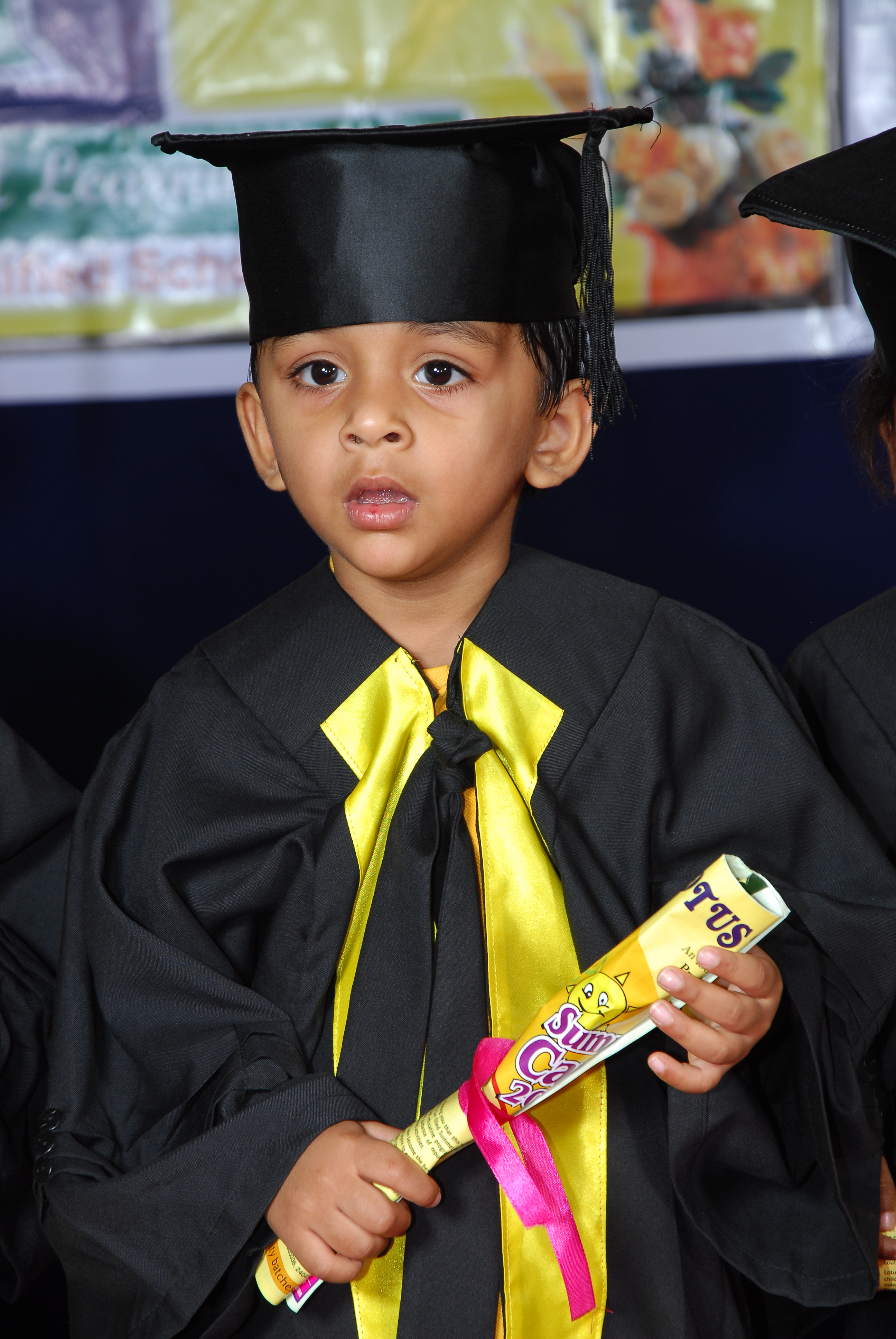 Pre Primary Programs